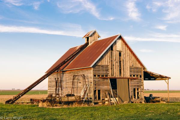 This barn has stood for over 100 years. Alas, it&rsquo;s unstable and due to be torn down. The wood, however, is being salvaged.